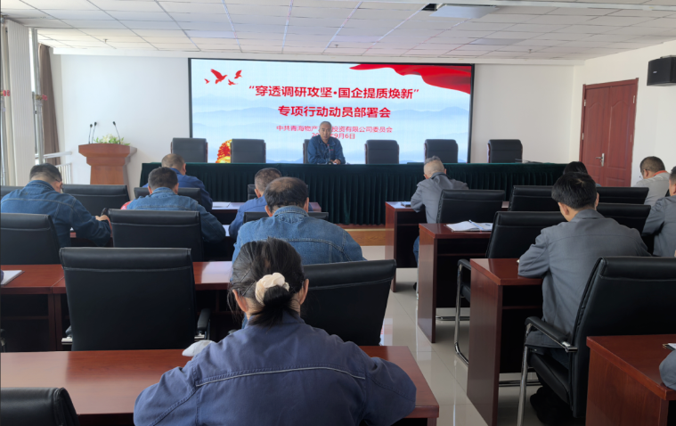 工投公司黨委召開&ldquo;穿透調(diào)研攻堅&middot;國企提質煥新&rdquo;專項行動動員部署會