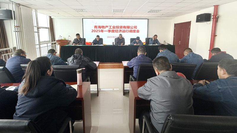物產工投公司召開2025年第一季度經(jīng)濟運行調度會