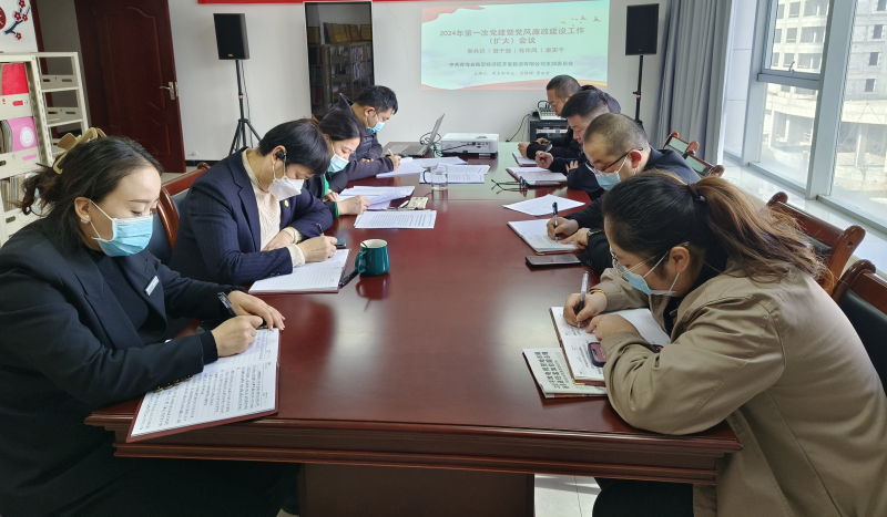 聚共識鼓干勁  轉作風重實干 &mdash;&mdash;臨空開投公司黨支部召開2024年度第一次黨建暨黨風廉政建設 工作會議